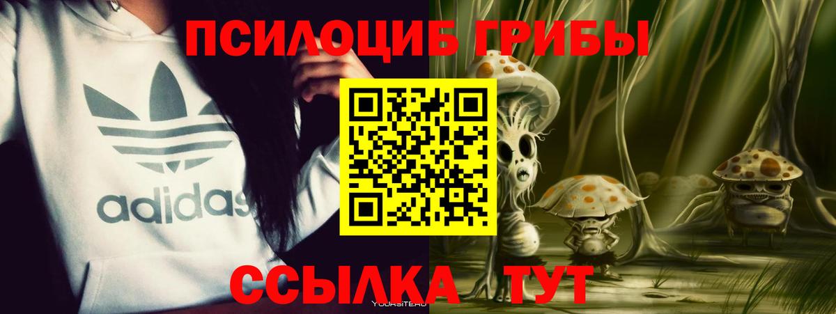Галлюциногенные грибы ЛСД  Вход с VPN  Унеча  Галлюциногенные грибы MAGIC MUSHROOMS 